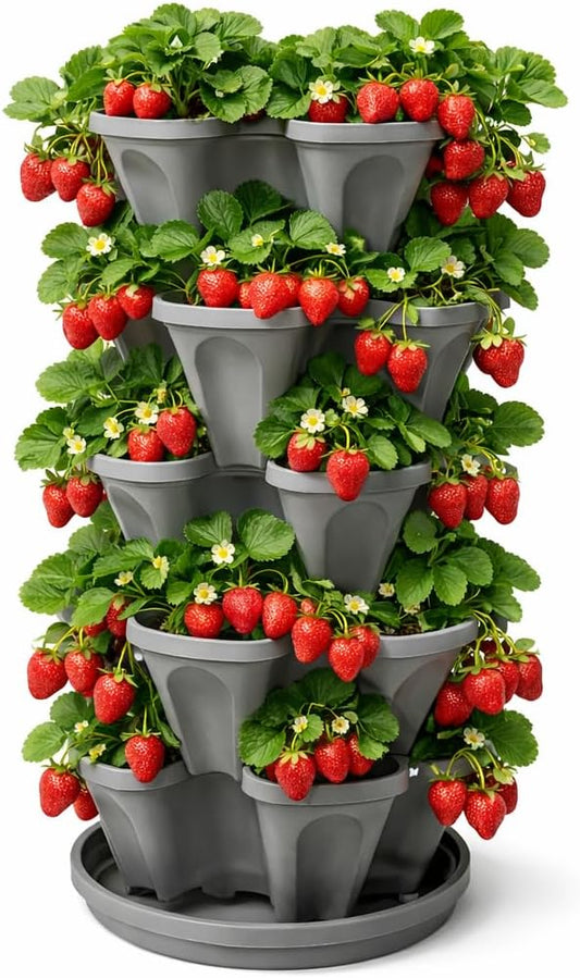 5-Tier Stackable Strawberry Garden â 24 Quart Indoor / Outdoor Stacking Planter with Drip Saucer â Grow Herbs, Strawberries, and Flowers from The Kitchen or Backyard â Plant and Stack! Easy Gardening