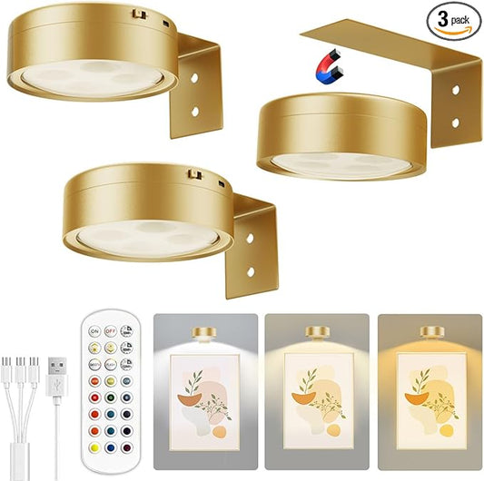 Xuolder Picture Lights for Wall, 2000mAh Rechargeable Battery Poster Lights LED