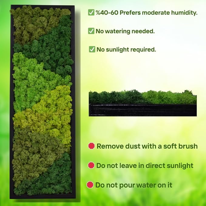 yersiz Large Moss Pattern Wall Art, Real Moss Wall Art
