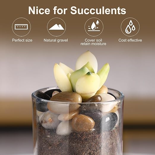 5LB 1/4-5/8Inch Polished River Rocks for Plants with Mixed Colors Decorative Natural River Stones Pebbles for Outdoor Small Stones Gravels for Home Decoration