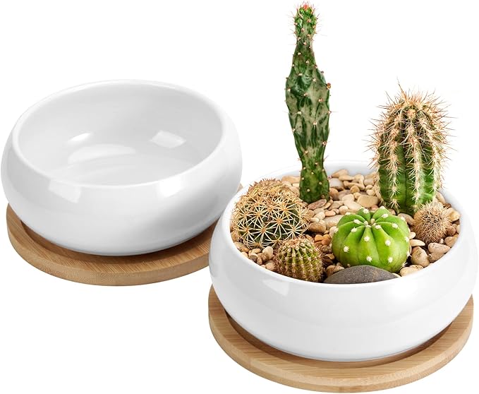 ZOUTOG 2 Pack Succulent Pots, 6 inch Ceramic Planters for Indoor Plants with Bamboo Tray, Pots with Drainage, Seedsï¼ Plants Not Included