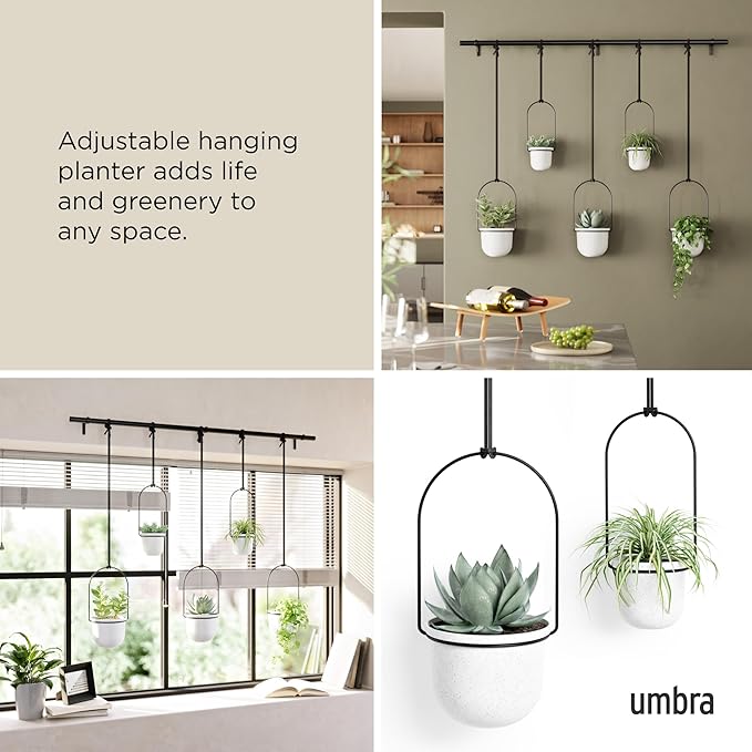 Umbra Triflora Hanging Planter for Window, Indoor Herb Garden