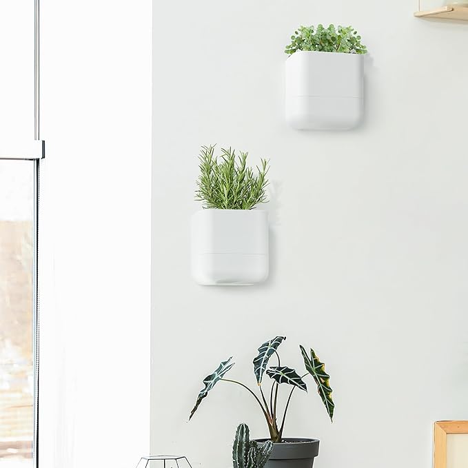 Phoenix Vine 6.5 Inch Wall Mounted Self-Watering Planter Pot