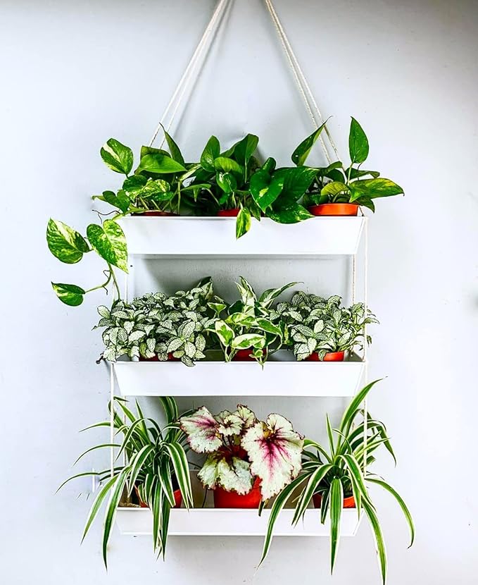 LaLaGreen Hanging Wall Planter