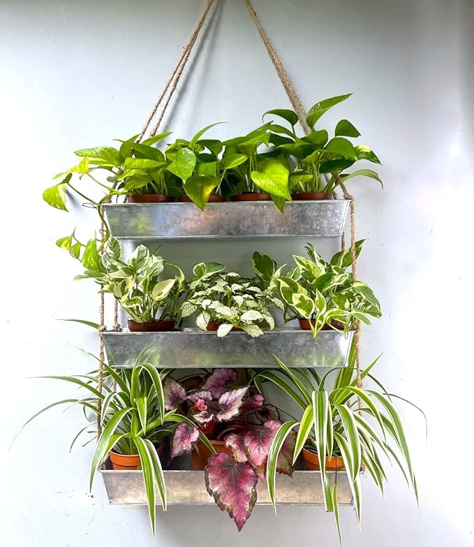 LaLaGreen Wall Hanging Planter