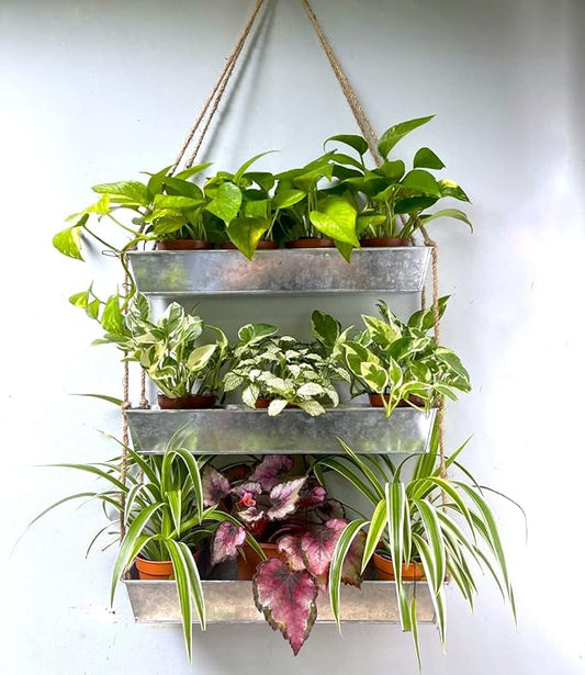 LaLaGreen Wall Hanging Planter