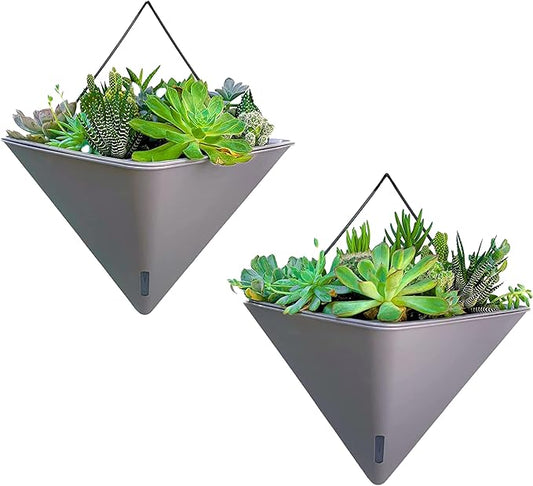 LaLaGreen Succulent Wall Planters