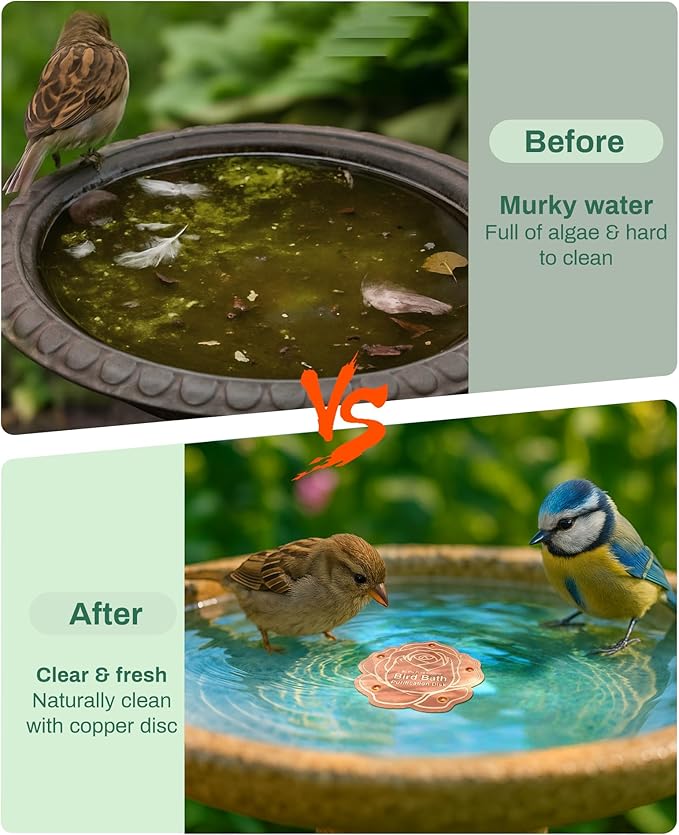 Bird Bath Purification Disk Pure Copper Outside Winter Solar Power Birdbath Wild Hummingbird Hanging Bowl Metal Warmer Deck Railing Humming Feeder Outside Water Pole Fountain Station Gift Rose
