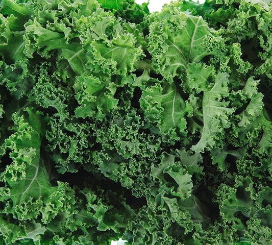 Dwarf Siberian Kale Seeds for Planting â Plant & Grow Heirloom Non-GMO Dwarf Siberian Kale in Home Outdoor Vegetable Garden, Brassica Napus â 1 Packet Approx 200 Seeds
