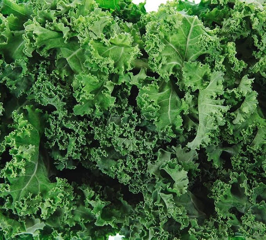 Dwarf Siberian Kale Seeds for Planting â Plant & Grow Heirloom Non-GMO Dwarf Siberian Kale in Home Outdoor Vegetable Garden, Brassica Napus â 5 Packets