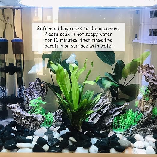 FANTIAN 2 lbs Small White Pebbles for Plants, 0.8-1.2 inch Decorative River Rocks for Plants, Aquariums, Landscaping. White Stones for Planter Vase and Outdoor Garden Rocks