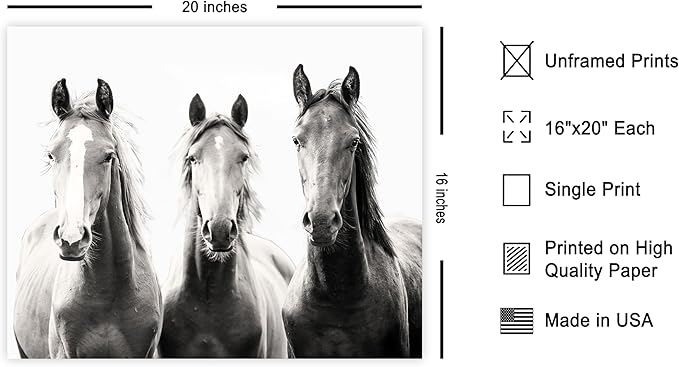 Poster Master Horse Poster