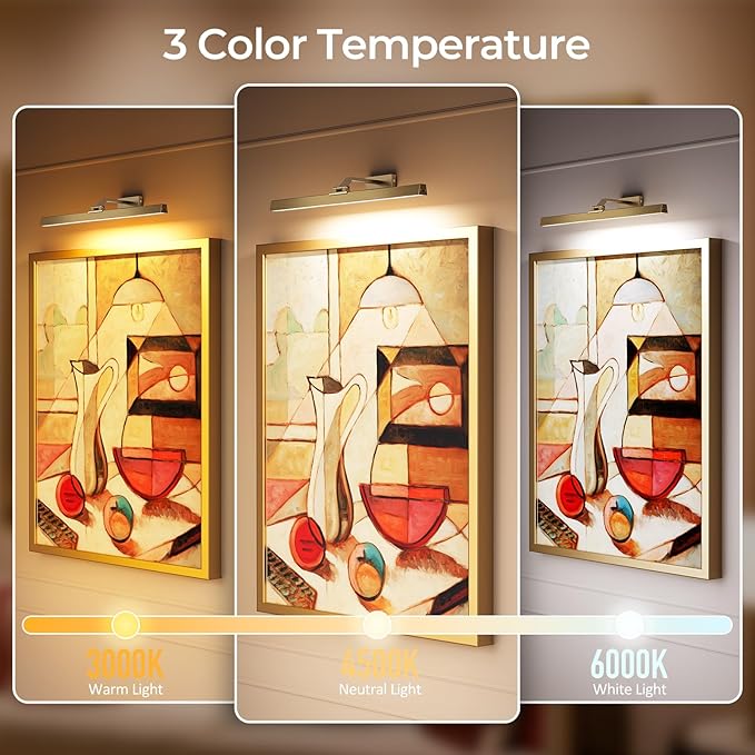 Afyuol Picture Lights for Wall, Brass Battery Operated Picture Light 24in Art