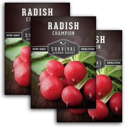 Champion Radish Seeds for Planting â Fast Growing Heirloom for Spring & Fall Gardens â Large Round Red Radishes, White Flesh â Heat & Cool Weather Hardy â Survival Garden Seeds (3 Packs)