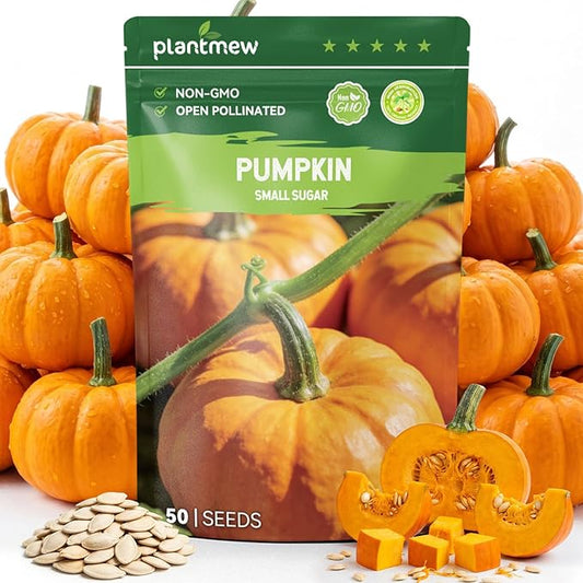50 Heirloom Small Sugar Pumpkin Seeds for Planting â Sweet Pie Pumpkin, Compact Vines, High Germination, Ideal for Home Garden & Container
