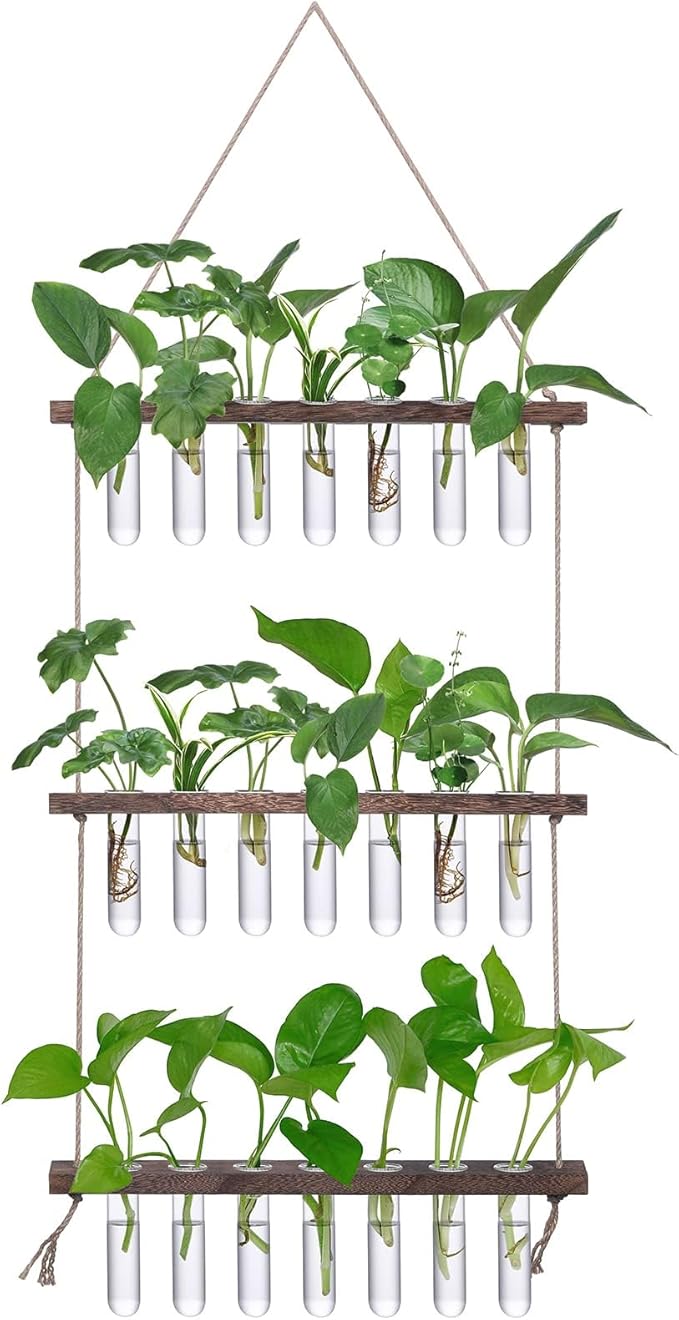 XXXFLOWER Wall Hanging Propagation Station