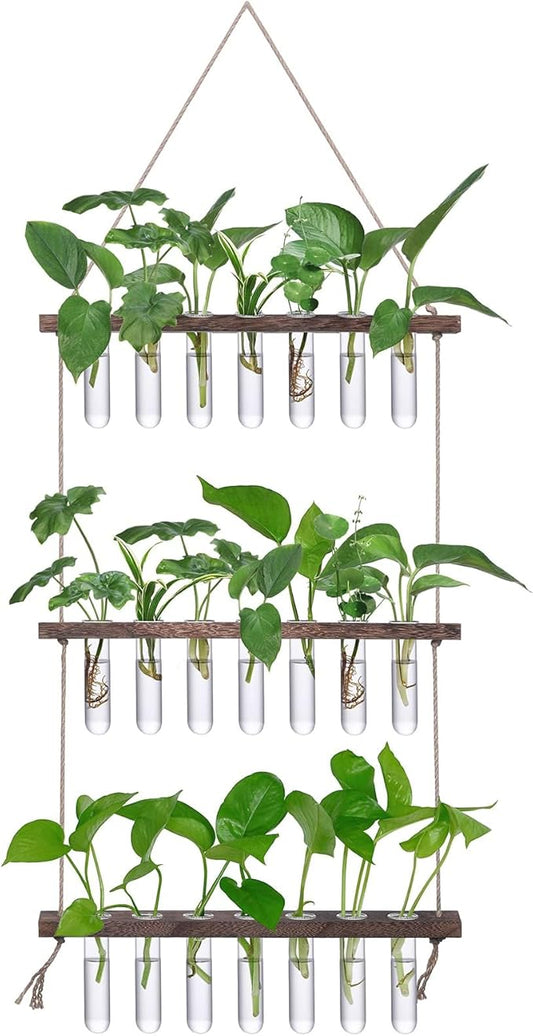 XXXFLOWER Wall Hanging Propagation Station