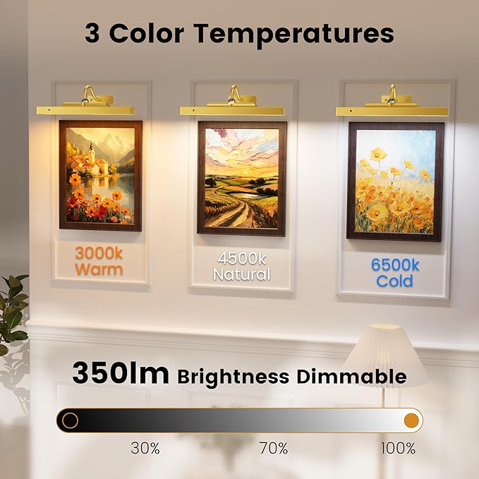 Picture Frame Light, Dimmable LED