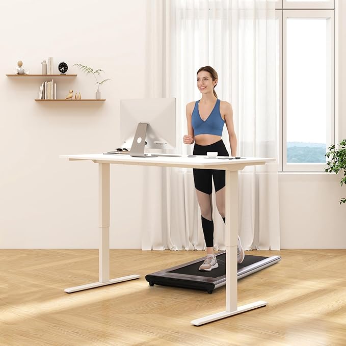FLEXISPOT E3 Dual Motor Electric Standing Desk 48 x 30 Sit Stand Up Desk, Holds 220 lbs, Adjustable Height w/Memory Presets, One-Piece Black Desktop & White Frame, Ships in 2 Boxes