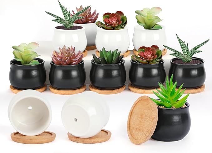 SHECIPIN 12 Pack Succulent Plant Pot, Mini 2.6 inch Ceramic Flower Planter Pot with Bamboo Tray, Small Pots for Plants, Plants Not Included ï¼White, Blackï¼