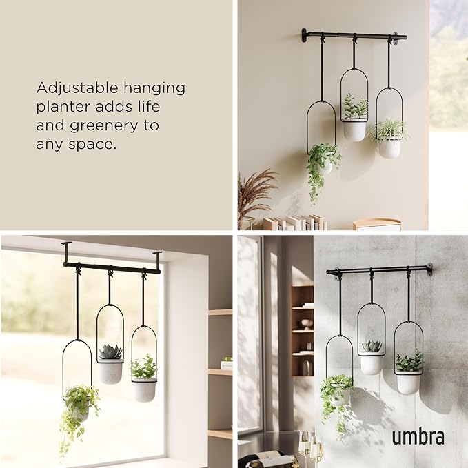 Umbra Triflora Hanging Planter for Window, Indoor Herb Garden