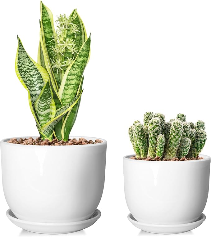 6.7 + 5.5 Inch Plant Pot, Ceramic Planter with Drainage and Saucer, Ceramic Pots for Plants, Indoor Plant pots,Succulent Pot Orchid Pots(Smooth White,Plant Pot Only)