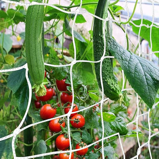 Trellis Netting, CANAGROW Heavy-Duty Garden Plant Trellis Netting for Climbing Plants, Outdoor Indoor Grow Net for Beans Tomatoes Peas Pumpkin Flowers, ð ð± ðððð­, ðððð¤ of 4