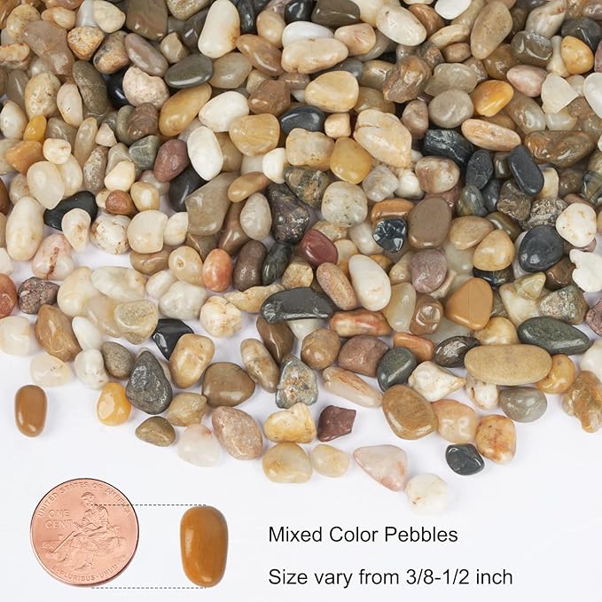 GASPRO 10 lb Decorative Pebbles for Plants, 3/8 Inch Mixed Color Rocks, Small Stones for Indoor Planters, Succulents & Vase Filler, Pea Gravel for Aquariums