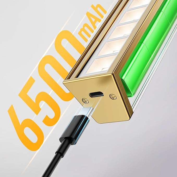 Afyuol Picture Lights for Wall, Brass Battery Operated Picture Light 24in Art
