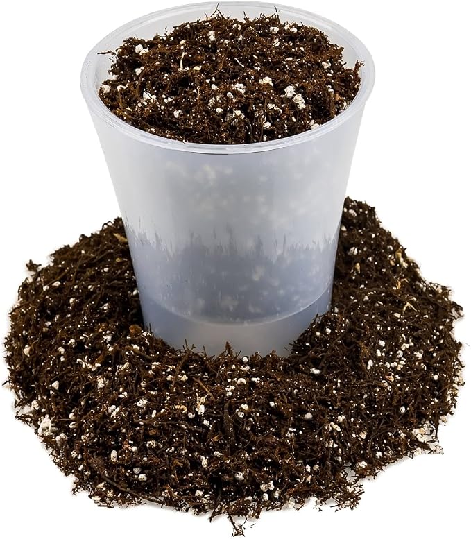 Gardenera Premium Organic Potting Soil, Succulent & Cactus Soil Mix, Fast Draining Pre-Mixed Blend - Horticultural Perlite (25%) + Peat Moss (75%) - Made in USA - 4 Quart
