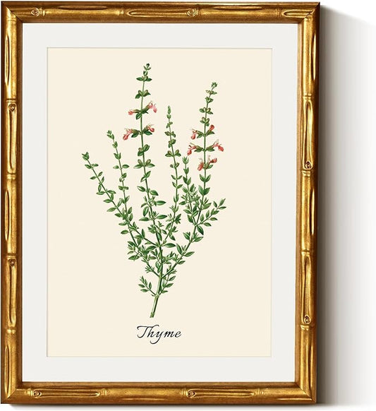 InSimSea Gold Bamboo Framed Canvas Wall Art, Vintage Watercolor Thyme Herbs