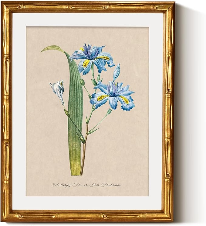 InSimSea Gold Bamboo Framed Canvas Wall Art, Retro Blue Iris Botanical Prints
