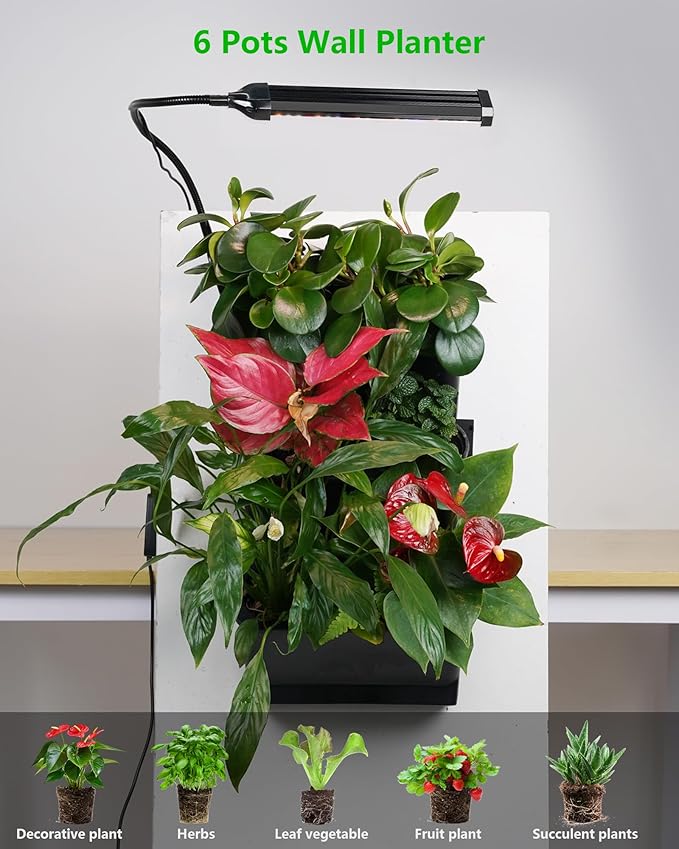Wall Planters for Indoor Plants