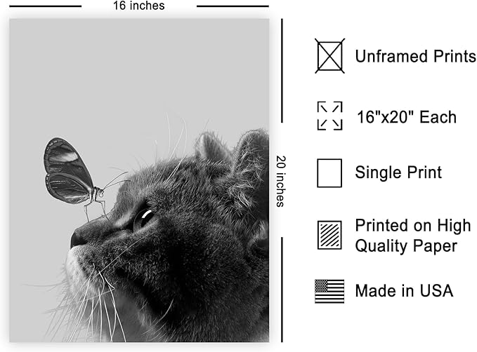 Poster Master Butterfly on Cat Poster