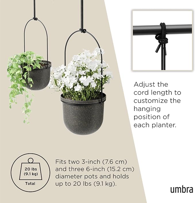 Umbra Triflora Hanging Planter for Window, Indoor Herb Garden