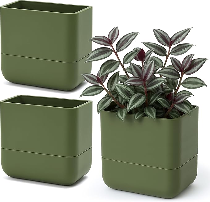 Phoenix Vine 6.5 Inch Wall Mounted Self-Watering Planter Pot