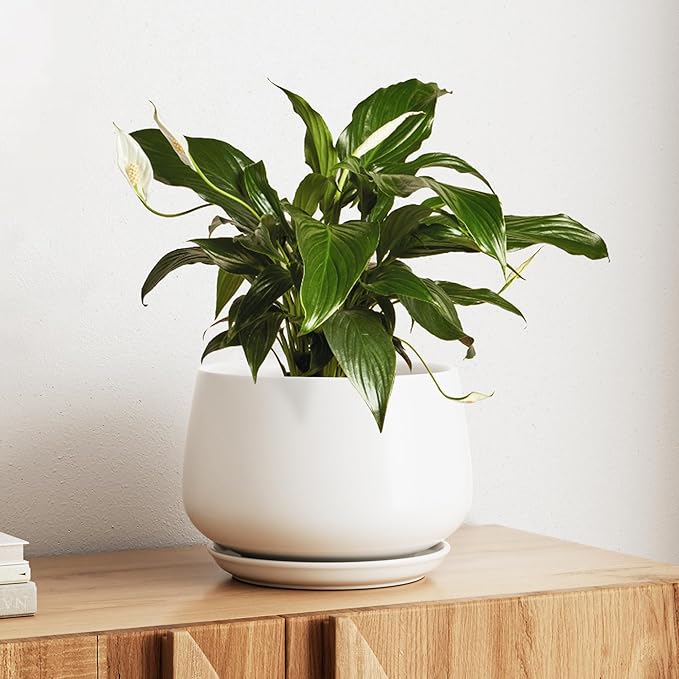 LE TAUCI Ceramic Planter, 10 Inch Plant Pot with Drainage Hole & Saucer â Durable Indoor Planter for Modern Home Decor, White
