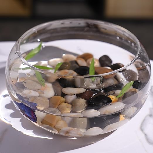 5LB 1/4-5/8Inch Polished River Rocks for Plants with Mixed Colors Decorative Natural River Stones Pebbles for Outdoor Small Stones Gravels for Home Decoration