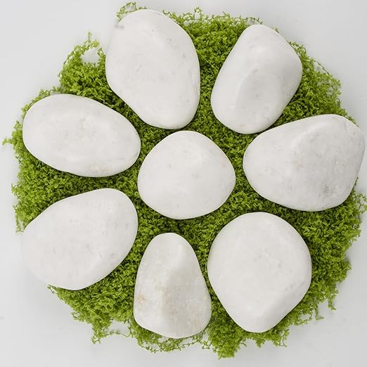 10lbs White Natural River Rocks, Polished Pebbles for Plants Garden, 2-3 inch Decorative White Stones, Ideal for Fish Tank, Vases, Crafting, Home Decor and Garden Landscaping Rocks