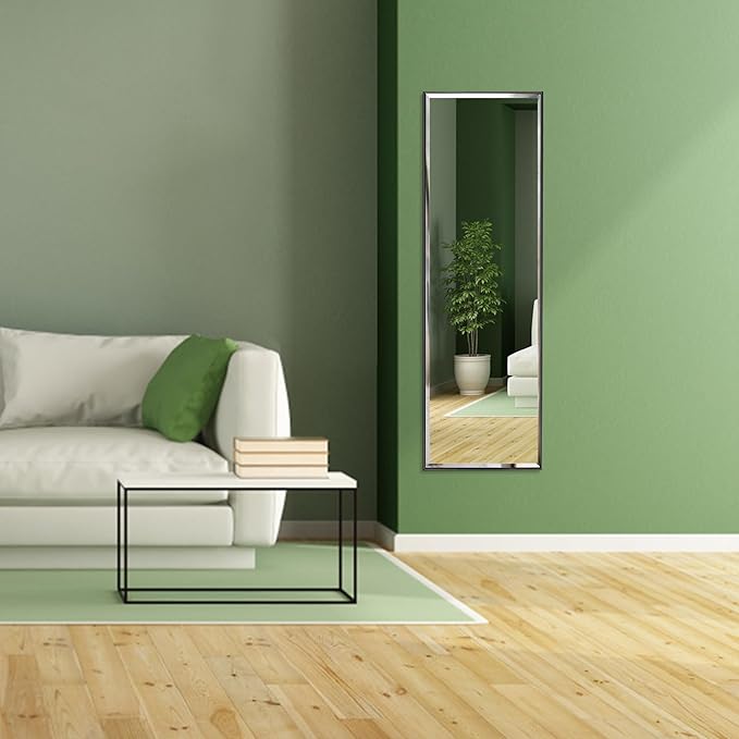 PETAFLOP 14x48 Inch Full Length Mirror Wall Mounted, Large Body Door Mirror