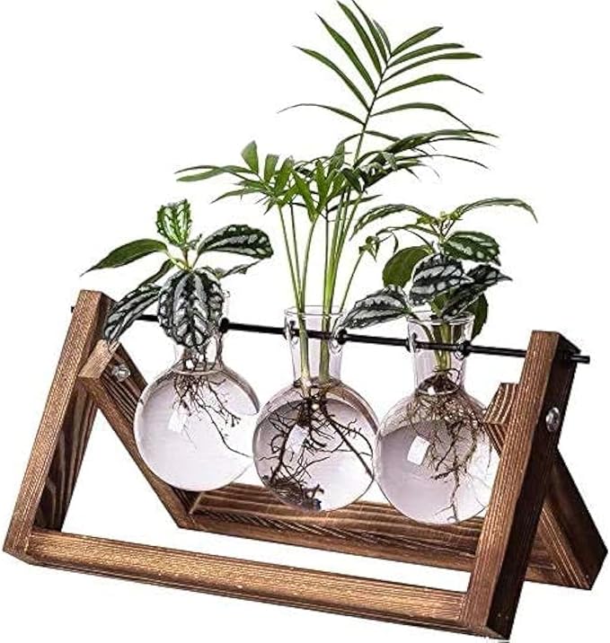 Kingbuy Plant Terrarium Propagation Station - 3 Glass Bulb Vases with Retro Wooden Stand Boho Desktop Planter for Hydroponics Home Garden Indoor Home Office Decor Unique Gifts for Women & Plant Lovers