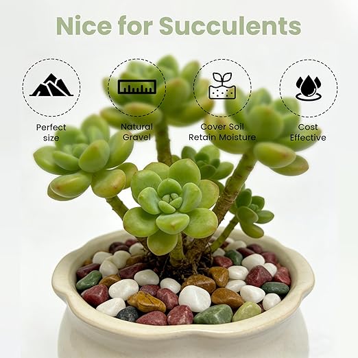 SIDONG 20 LB Natural Gravel Pebbles, 2/5 Inch Small Pea Gravel Stones, Decorative River Rocks for Succulents, Aquariums, Vases, Indoor Plants, Garden Landscaping, DIY