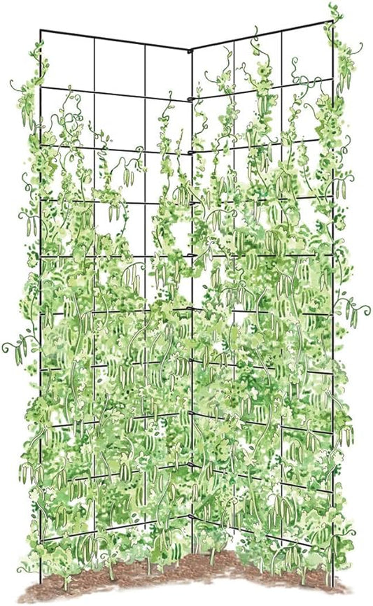 Gardener's Supply Company Two Panel Folding Trellis | Sturdy & Tall Metal Frame for Outdoor Garden Plant Support Climbing Flowers and Vegetables | 35-1/2"W x 58" H