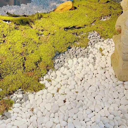 YISZM 20lb White River Rocks for Landscaping, 1-2 Inch Natural Pebbles for Indoor Plants, Snow White Decorative Stones, Ideal for Fish Tank, Vases, Crafting, Home Decor and Garden Rocks