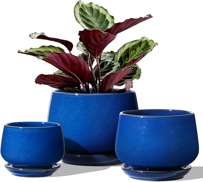 LE TAUCI Plant Pots, 4.1+5.1+6.5 inch, Set of 3, Ceramic Planters with Drainage Hole and Saucer, Indoor Flower Pot with Hole Mesh Pad, Gifts for Mom, Sapphire Blue