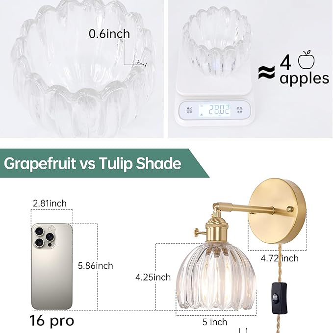 Shenmoyl Plug in Wall Sconce, Transparent Tulip Glass Lampshade Wall Light