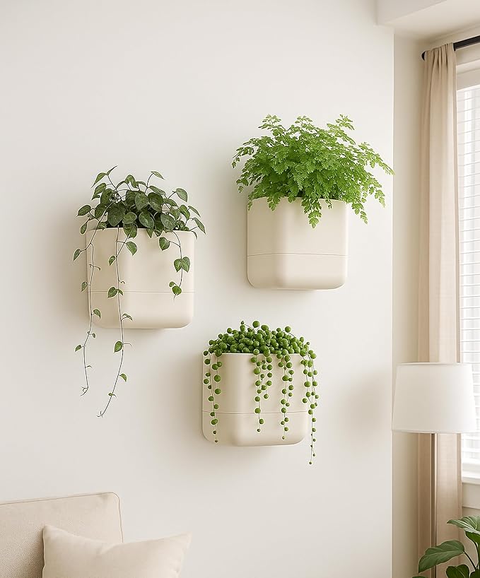 Phoenix Vine 6.5 Inch Wall Mounted Self-Watering Planter Pots