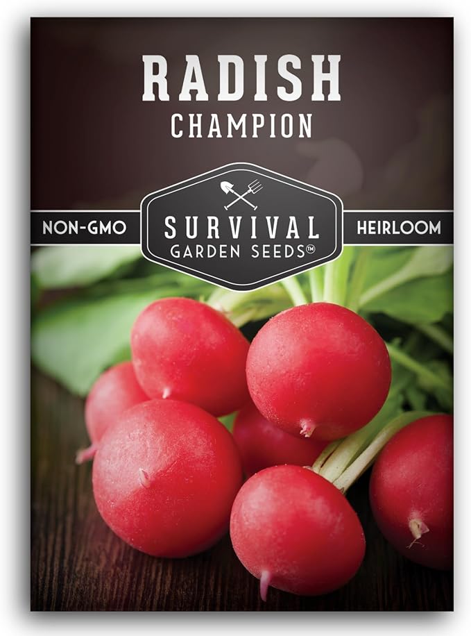 Champion Radish Seeds for Planting â Fast Growing Heirloom for Spring & Fall Gardens â Large Round Red Radishes, White Flesh â Heat & Cool Weather Hardy â Survival Garden Seeds (1 Pack)