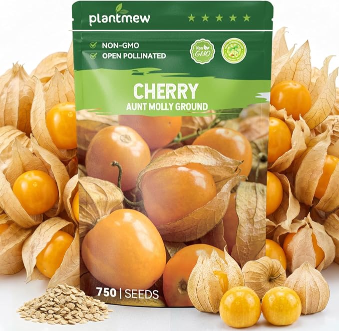 750 Heirloom Aunt Molly Ground Cherry Seeds for Planting â Sweet Husk Cherry, Pineapple-Like Flavor, High Germination, Ideal for Home Garden & Container