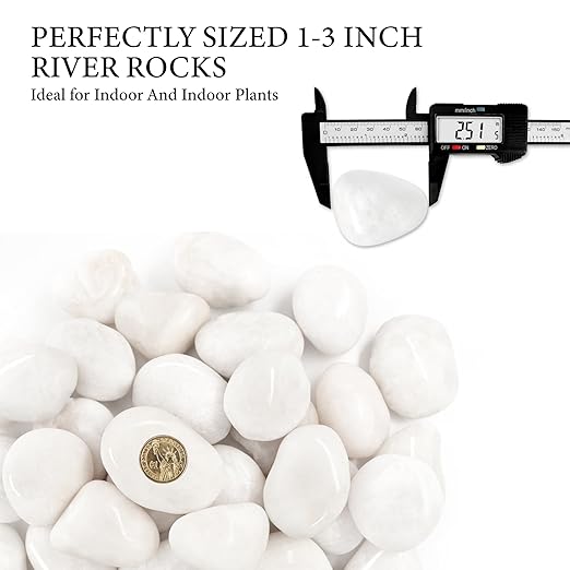 9lb White River Rocks for Plants, 1-3 Inch Pebbles for Indoor Plants, Polished Garden Rocks Outdoor Landscaping, Decorative Stones for Vases, Succulents, Aquarium, Walkways
